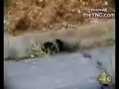 New Violent Ambush and Murder on Busy Street in Afghanistan (Watch Full Video)
