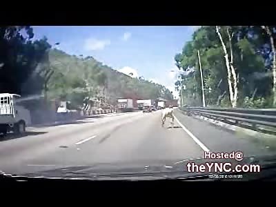 HAHA: Moped Rider Gets Rear the Fuck Ended and Gets Sent Flying