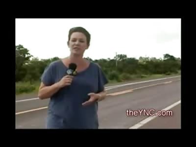 Reporter on the Side of the Road almost Killed during Live Newscast