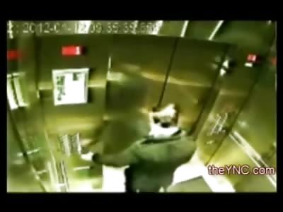 Dog gets Stuck on the Outside of the Elevator (2 Different angles, Watch outside Angle at End of Video)