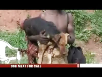 Future P Diddy making Money by selling Dog Meat