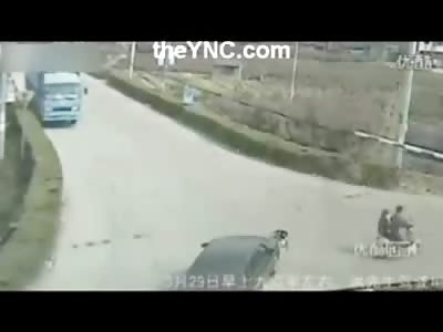 Baby falls off Bike....Baby Run over by Car