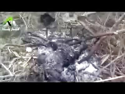 DAMASCUS: FSA Rebels Burn Their Enemies after Victory