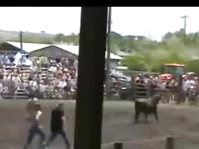 Woman Attempting a Money Grab Gets Gored and Trampled by Bull....TWICE!!!