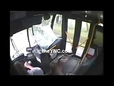 Amazing Video of a Deer hit by a Bus and Ending up inside and Still Alive!!