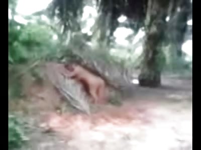 Bizarre  Video of a Dead Woman Standing up in the Jungle