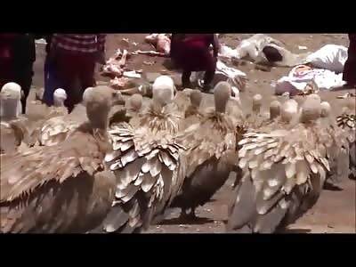 Graphic Footage of a Tibetan Traditional Sky Burial shows Woman, Men and Children Being Devoured by Vultures (NEW)