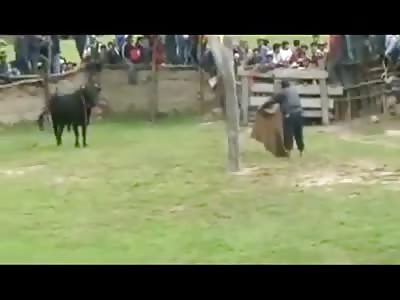  BULL KNOCKS OUT HIS ENTERTAINER AND ESCAPES TO FREEDOM!