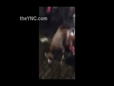 Half Naked Girl Fight In The Street They Try To Be Classy But No Half Naked Girl Fight In The Street They Try To Be Classy But No